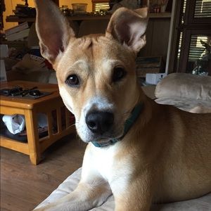 Meet your Posher, Andrea